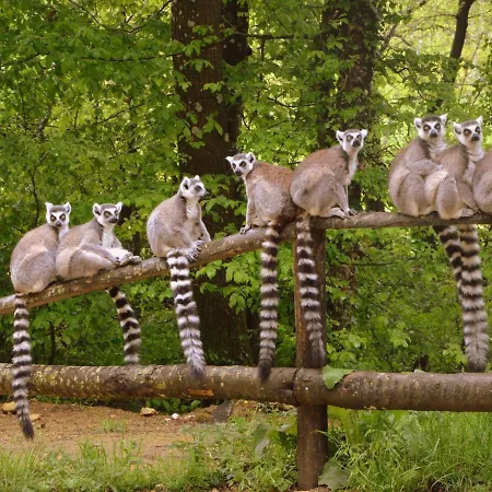 In France With Pool And Private Garden Villa *